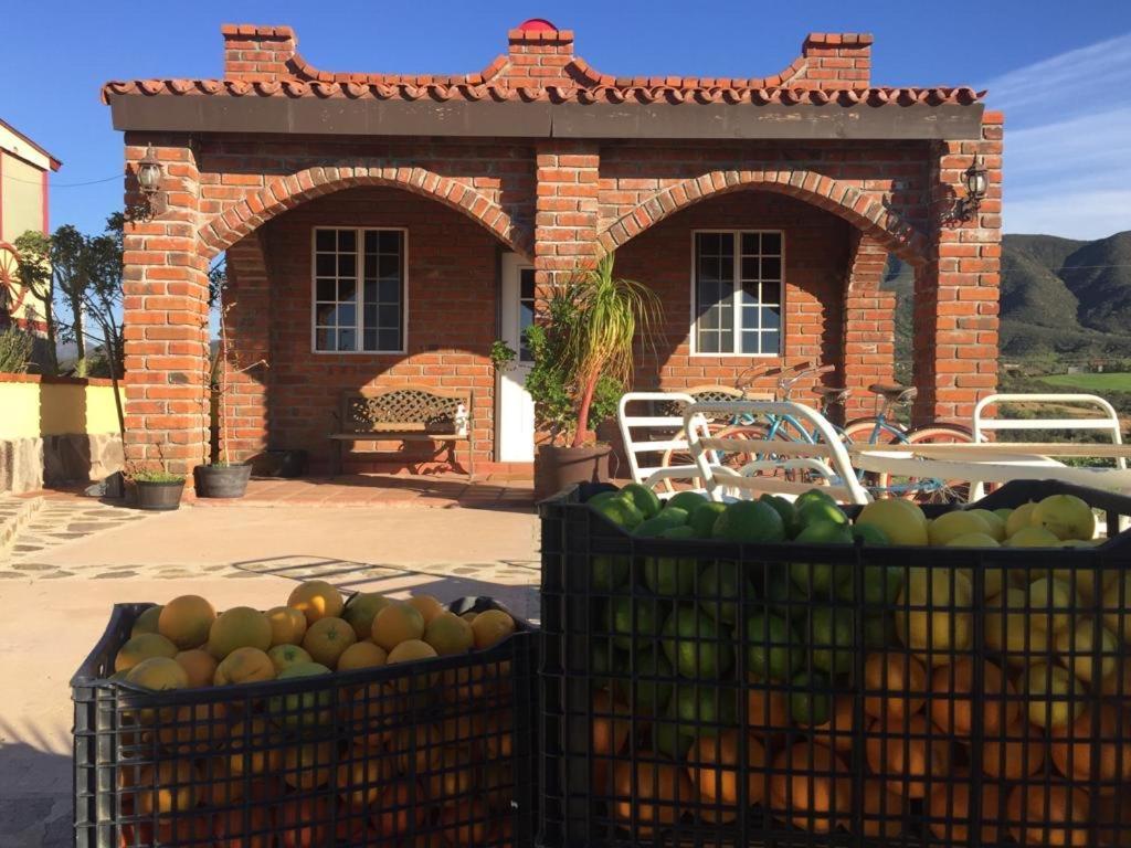 El Rincon Del Valle En La Ruta Del Vino Valle de Guadalupe Exteriér fotografie